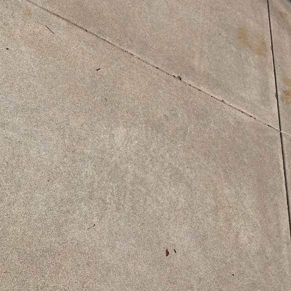 Meet your Posher, Paige - Picture 1 of 1